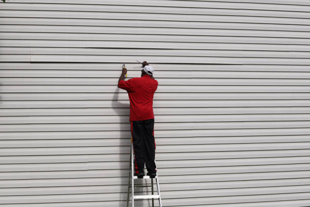 Best Vinyl Siding Installation  in Burton, MI